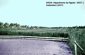 Oran- Le figuier 23a